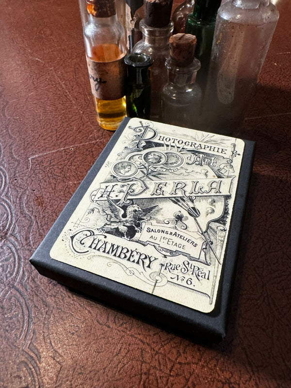 The Curious Case of Amanda Cole by Dead Rebel