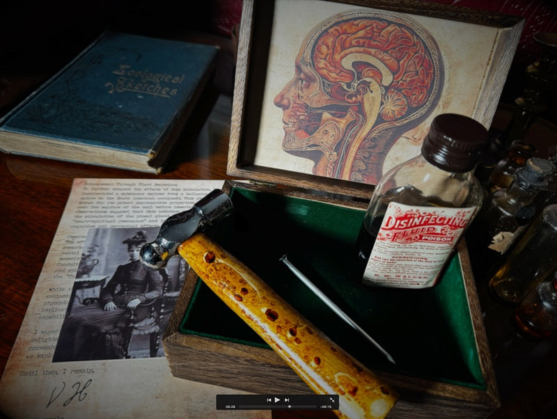 Cerebrum by Dead Rebel