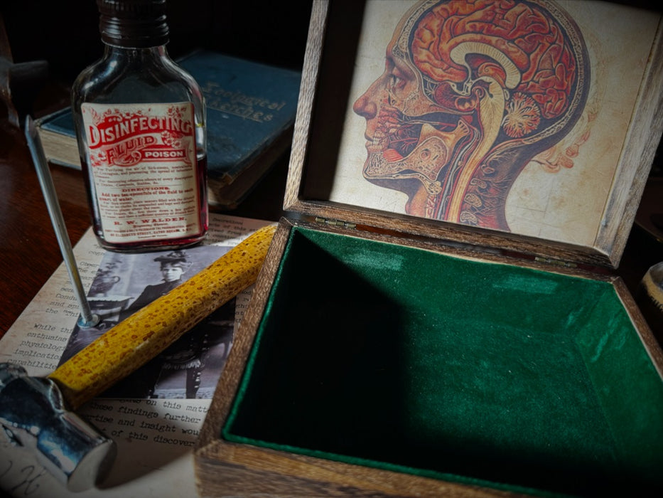 Cerebrum by Dead Rebel — bigblindmedia.com