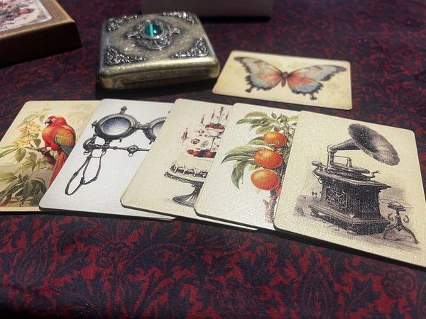 The Papilio Experiment by Dead Rebel