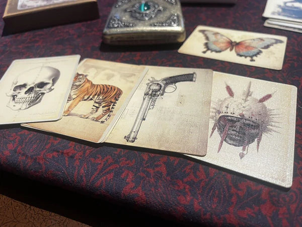 The Papilio Experiment by Dead Rebel