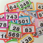 Luck Of The Draw by Liam Montier 