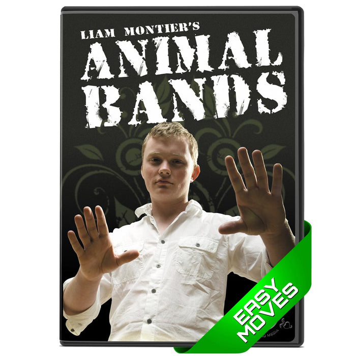 Animal Bands by Liam Montier